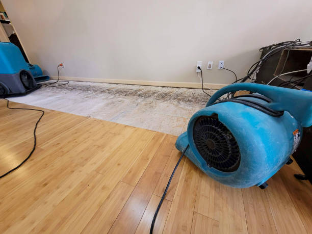 Professional Sewage Cleanup technician working in Stuyvesant, NY